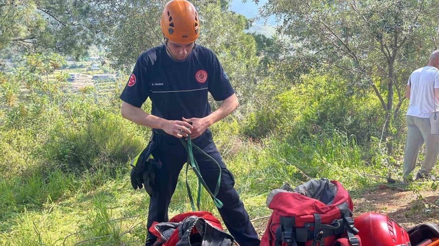 Dağlık Alanda Otlarken Mağaraya Düşen İnek Mağaraya İnebilecek Kasap Bulunamayınca Telef Oldu
