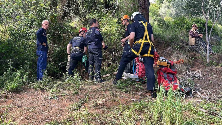 Dağlık Alanda Otlarken Mağaraya Düşen İnek Mağaraya İnebilecek Kasap Bulunamayınca Telef Oldu