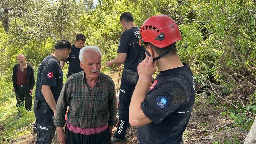 Dağlık Alanda Otlarken Mağaraya Düşen İnek Mağaraya İnebilecek Kasap Bulunamayınca Telef Oldu