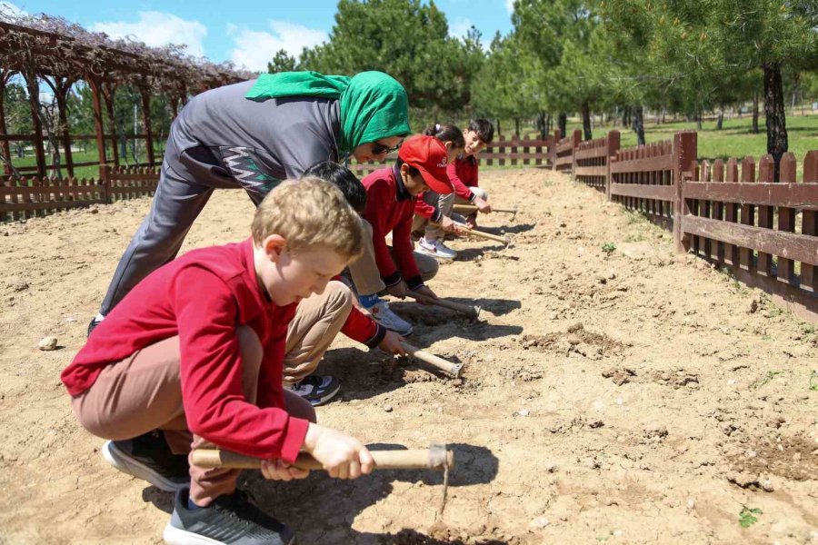 Meram’da Bir Nesil Doğa Eğitimleriyle Büyüyor; ‘mega Doğa Okulu’nda Bir Eğitim Yılı Daha Tamamlandı’
