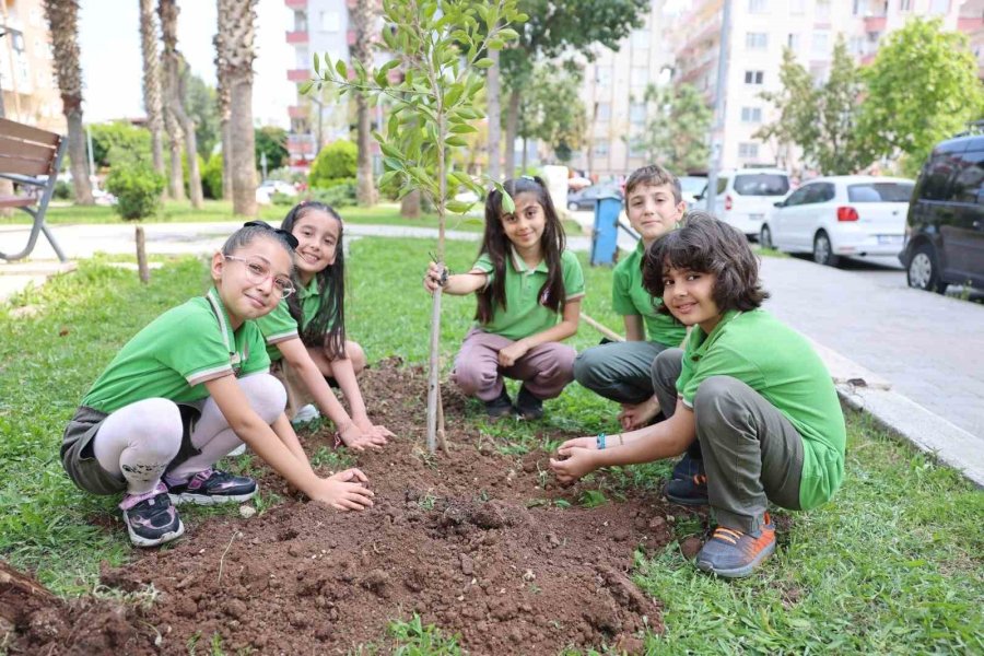 Minik Başkanın Talimatı Hayata Geçti, Park Yenilendi