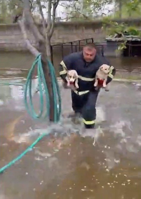 Niğde’de Baraj Taşkınında Mahsur Kalan 2 Yavru Köpek İtfaiye Ekiplerince Kurtarıldı