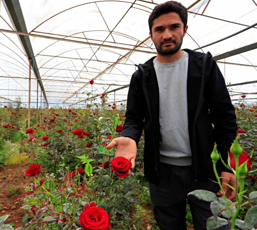 Anneler Günü Fırsatçıları İş Başında: Üreticiden 20 Tl’ye Çıkan Gül Annelere 150 -200 Tl’ye Ulaşıyor