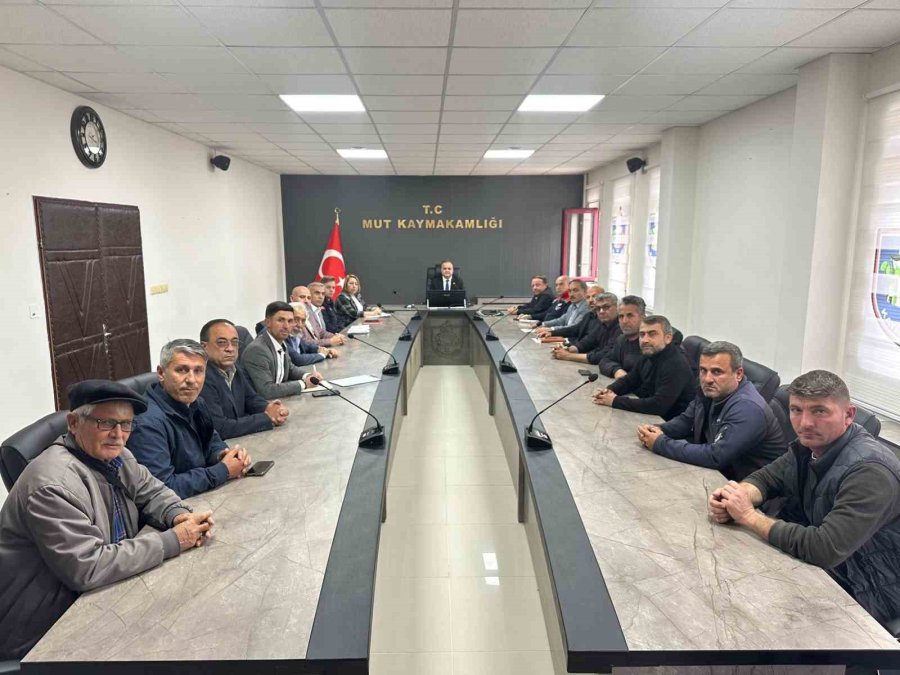 Mut’ta 2026 Kayısı Hasadı Değerlendirildi