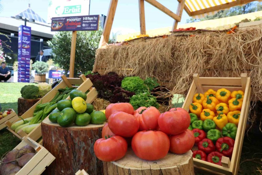 5. Uluslararası Foodfest Antalya Gastronomi Festivali Başlıyor