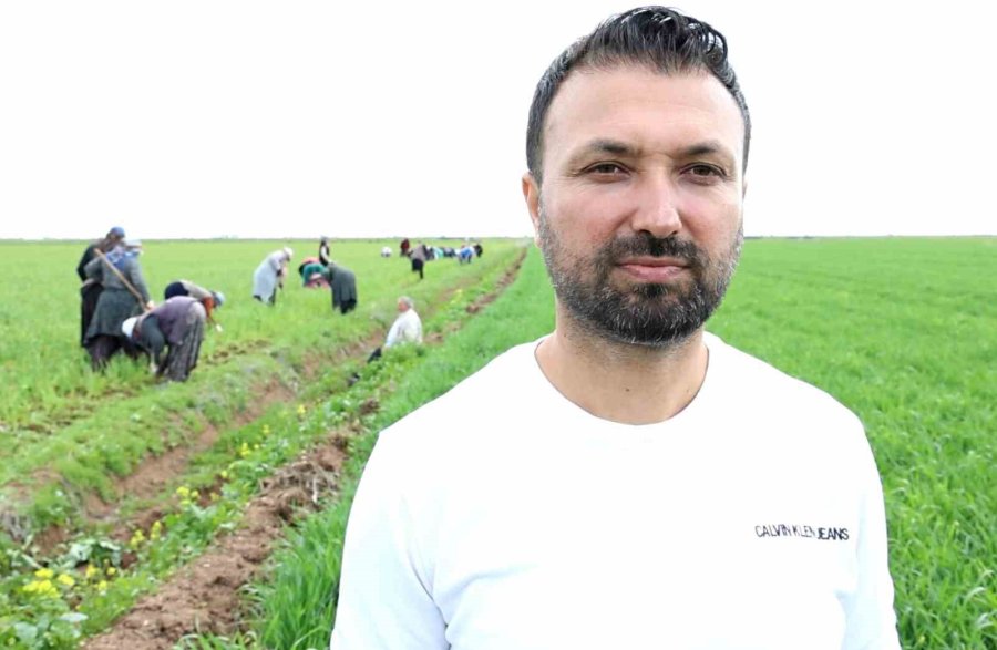 Aksaray’da Yağmur Yağışları Tarımsal Üretime Can Suyu Oldu