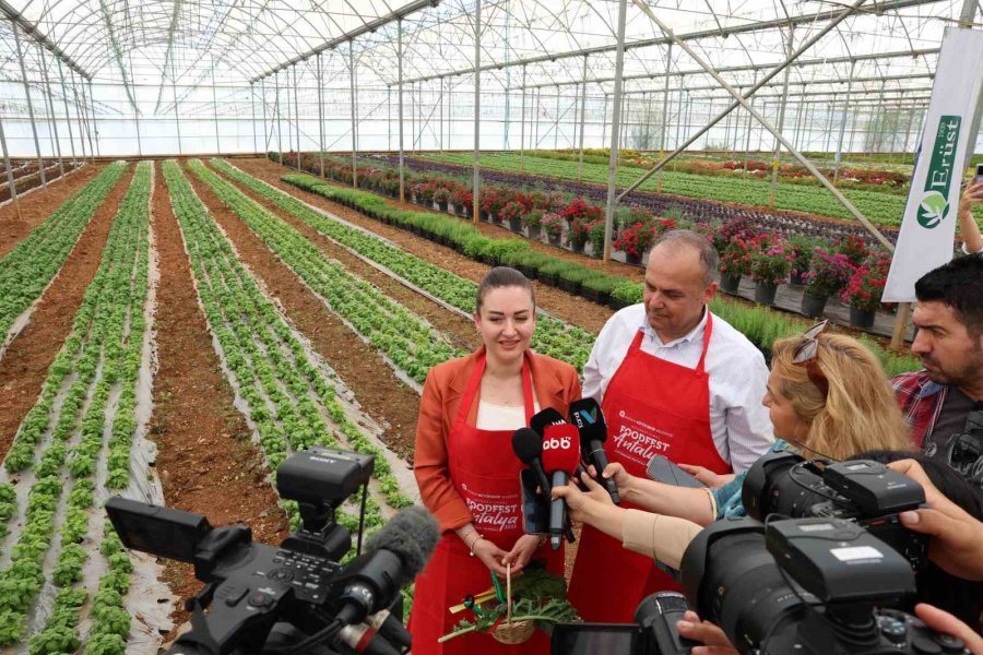 5. Uluslararası Antalya Foodfest Gastronomi Festivali Akdeniz Yeşillikleri Hasadıyla Başladı