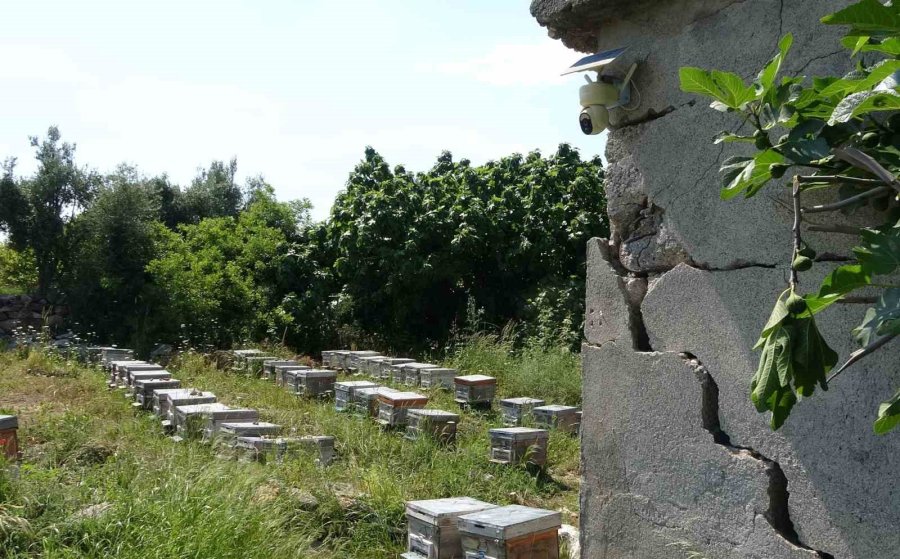 Kamera Şüphelinin Fotoğrafını Çekti: Arılığa Giren Şahıs, Kameraya Zarar Verdi