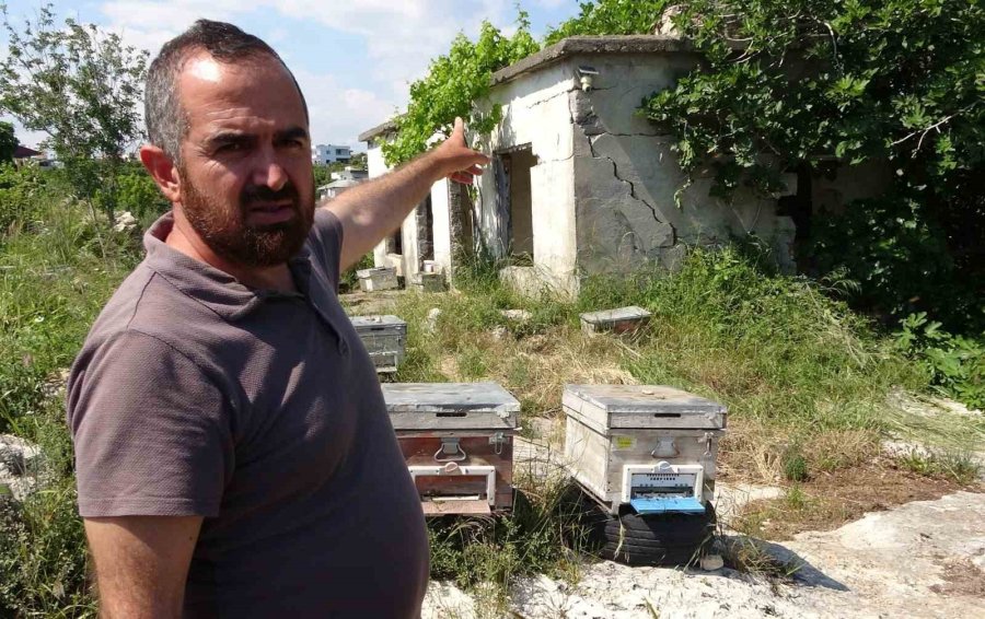 Kamera Şüphelinin Fotoğrafını Çekti: Arılığa Giren Şahıs, Kameraya Zarar Verdi