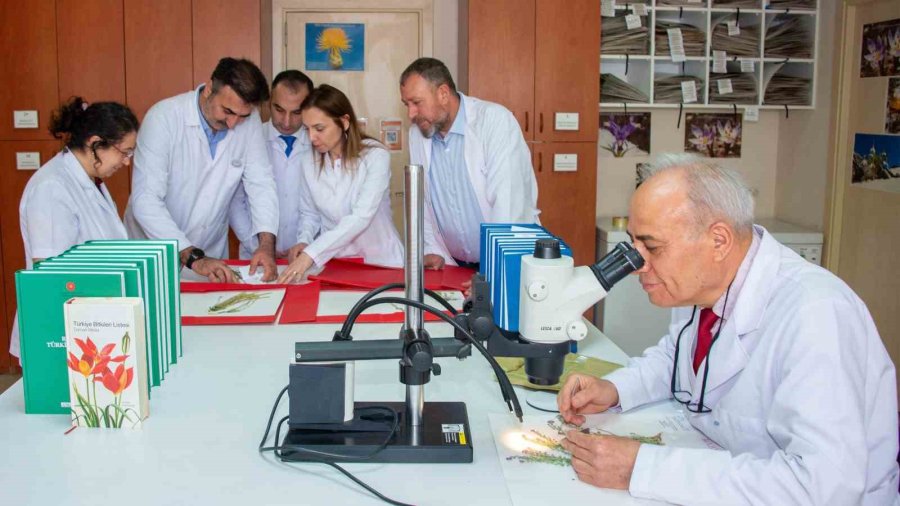 Selçuk Üniversitesi Akademisyenleri 4 Yeni Bitki Türü Keşfetti
