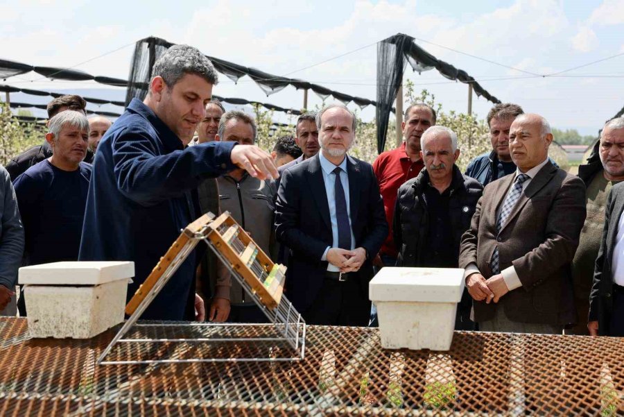 ’ana Arı Yetiştiriciliği Kursu’ Tamamlandı