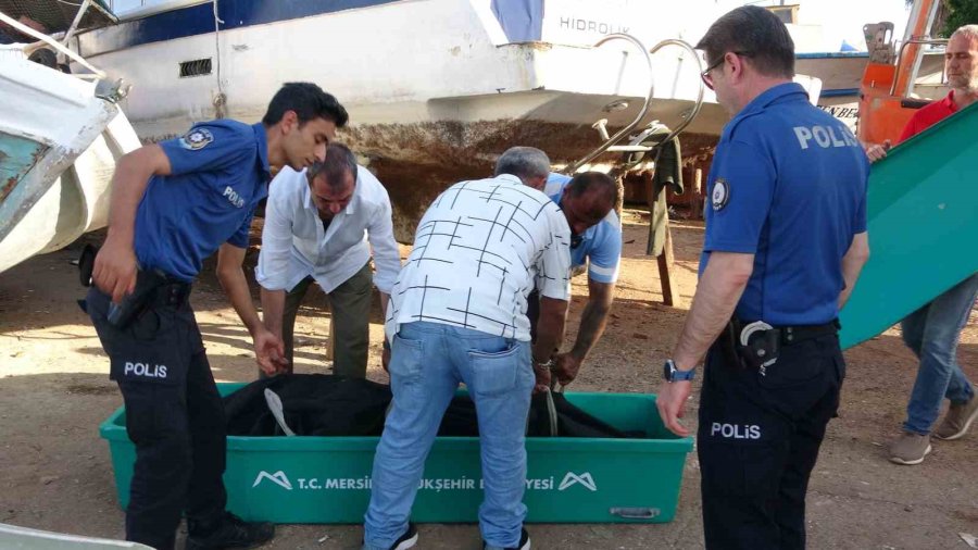 Mersin’de Balıkçı Barınağında Erkek Cesedi Bulundu