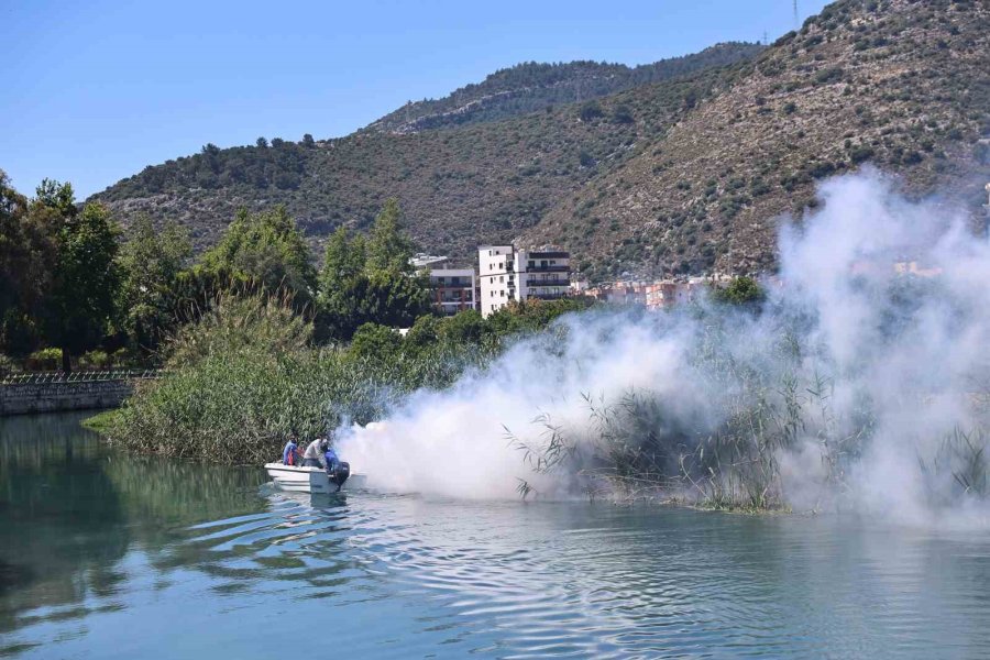 Büyükşehir’den Kent Genelinde Vektörle Mücadele