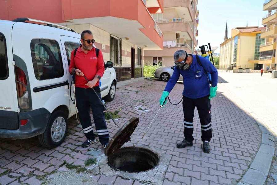 Büyükşehir’den Kent Genelinde Vektörle Mücadele