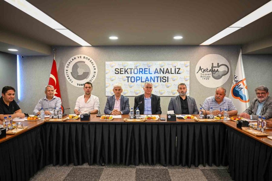 Buğdayda Yağış Bereketi: Rekoltede Yüzde 25 Artış Bekleniyor