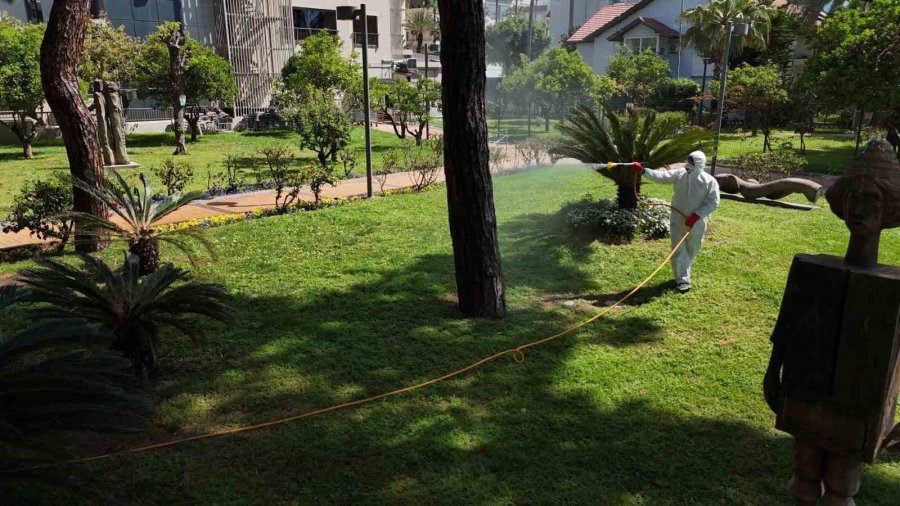 Alanya’da Akdeniz Çam Kabuk Böceğine Karşı Ortak Mücadele Başlatıldı