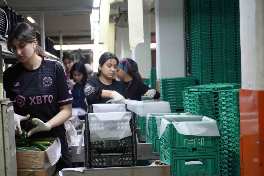 Antalya Halinde Bayram Denetimi: Faturalar Ve Künyeler Tek Tek İncelendi