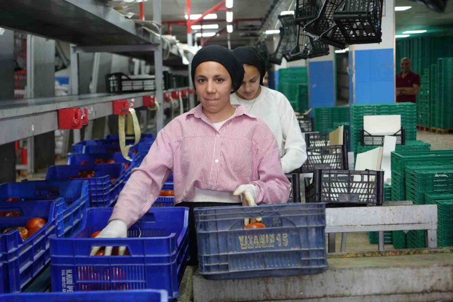 Antalya Halinde Bayram Denetimi: Faturalar Ve Künyeler Tek Tek İncelendi