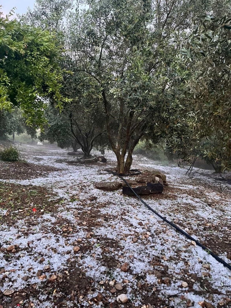 Şiddetli Doluyu Hem Kaydetti Hem Dua Etti