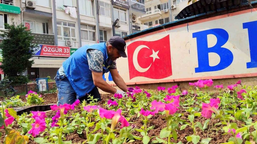Akdeniz’de Parklar Bahara Hazır: 50 Bin Çiçek Toprakla Buluşacak