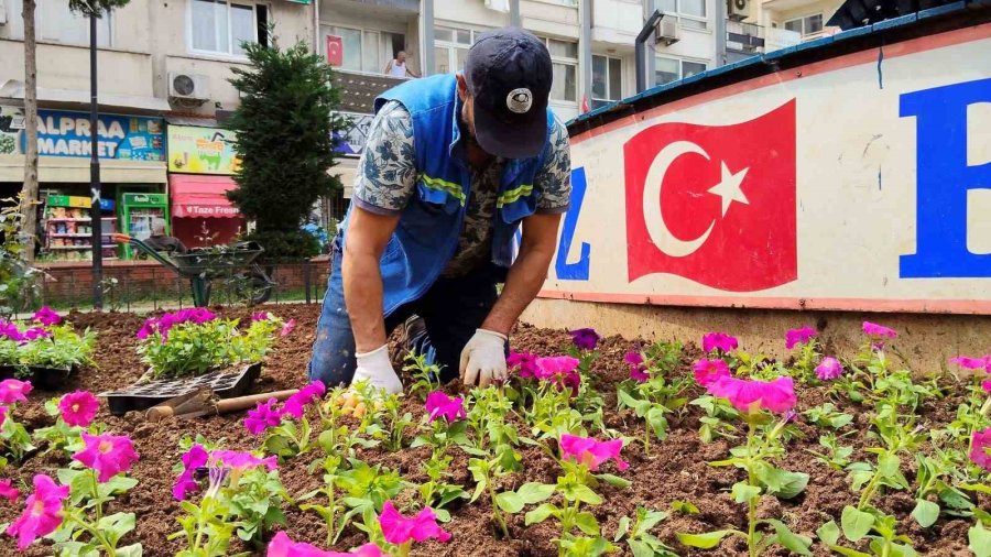 Akdeniz’de Parklar Bahara Hazır: 50 Bin Çiçek Toprakla Buluşacak