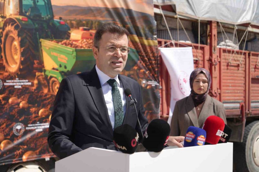 Niğde’de Yerli Ve Milli Tohum Hamlesi: 60 Ton Patates Tohumu Üreticilere Dağıtıldı
