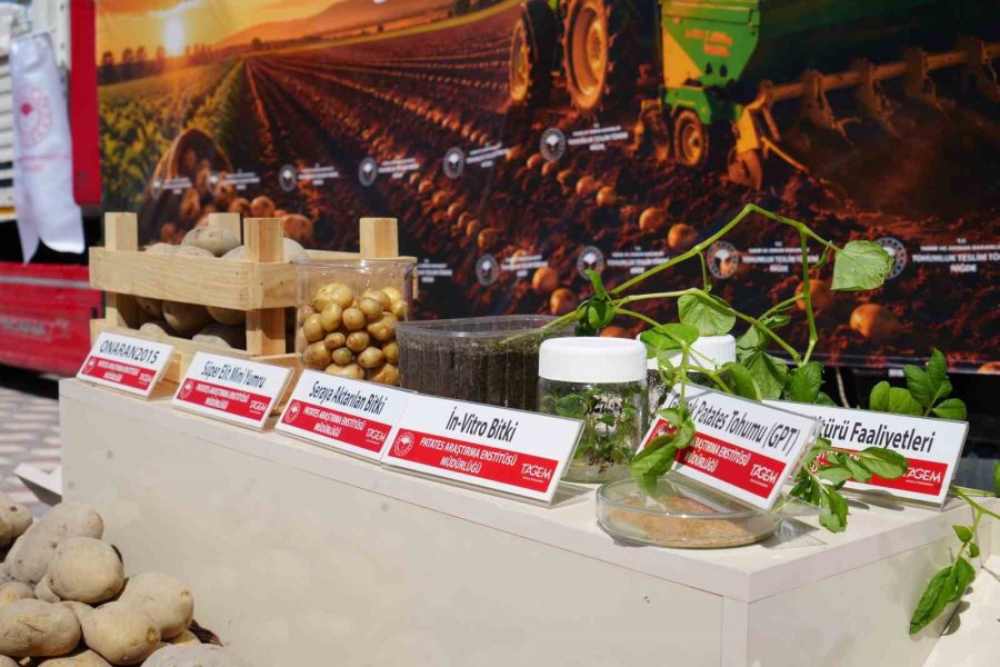 Niğde’de Yerli Ve Milli Tohum Hamlesi: 60 Ton Patates Tohumu Üreticilere Dağıtıldı