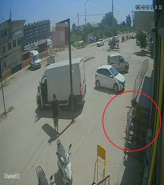 Antalya’da Yabancı Uyruklu Şahıs Kedinin Üzerine Bastı, Köpeği Tekmeledi