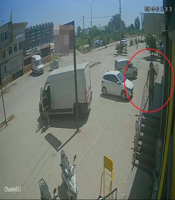 Antalya’da Yabancı Uyruklu Şahıs Kedinin Üzerine Bastı, Köpeği Tekmeledi