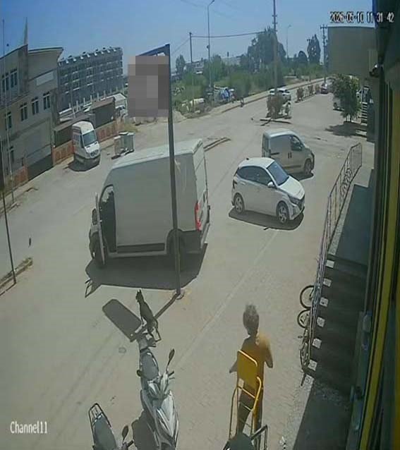 Antalya’da Yabancı Uyruklu Şahıs Kedinin Üzerine Bastı, Köpeği Tekmeledi