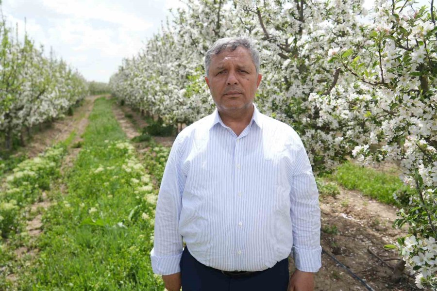 Tüccarların Depo Oyunu: Elmalar Depolandı, Ucuza Satılmak İstenmiyor