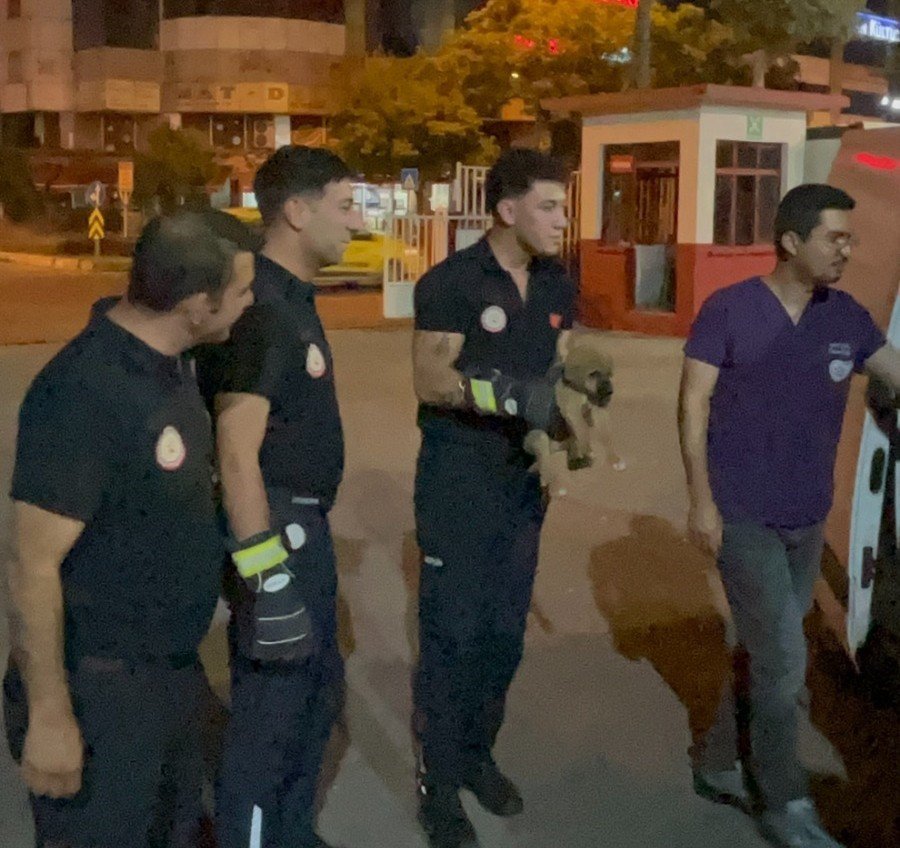 Otomobilin Motoruna Sıkışan Yavru Köpeği İtfaiye Kurtardı