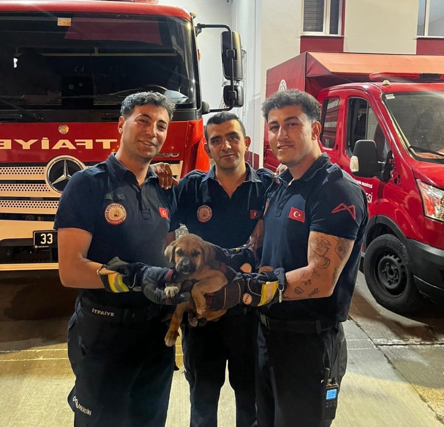 Otomobilin Motoruna Sıkışan Yavru Köpeği İtfaiye Kurtardı