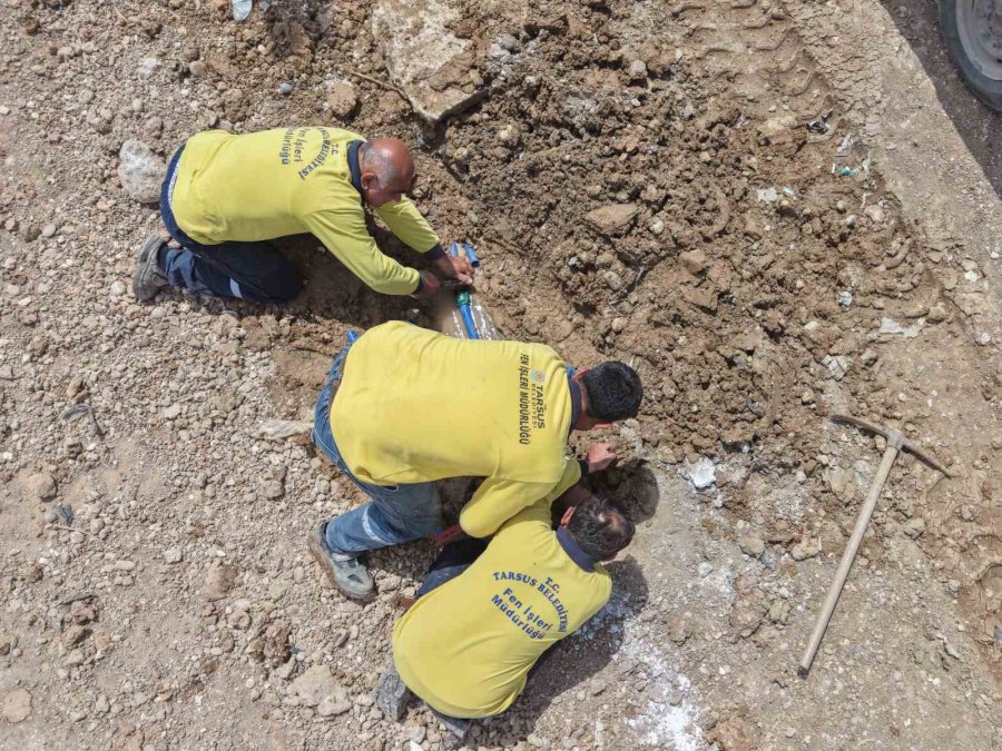 Tarsus’ta Kurbanlık Satışları İçin Hazırlıklar Başladı