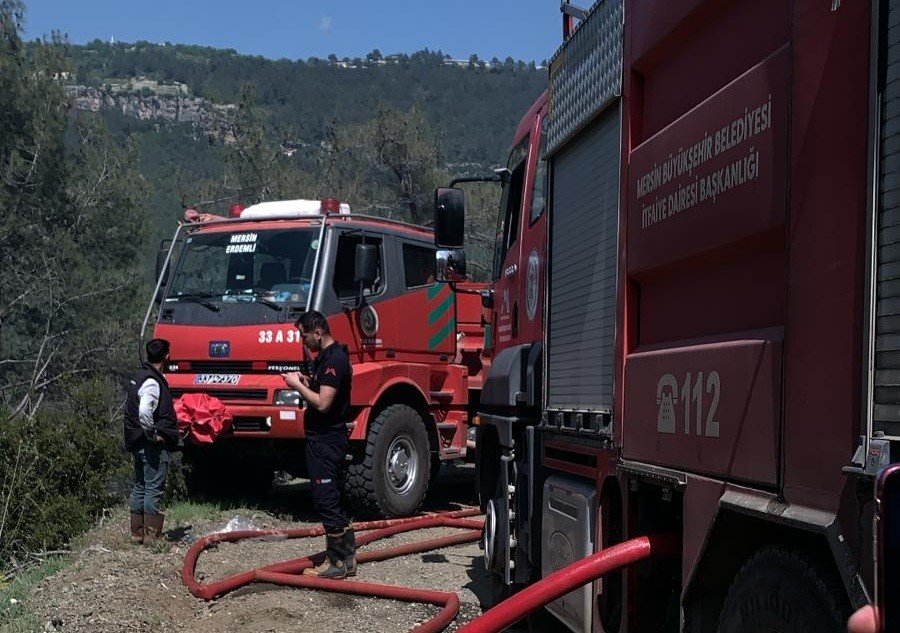 Mersin’de Orman Yangını: Ekiplerin Müdahalesiyle Kontrol Altına Alındı