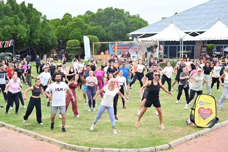 Dıgıfest’te Hado Avrupa Şampiyonası Heyecanı Yaşandı