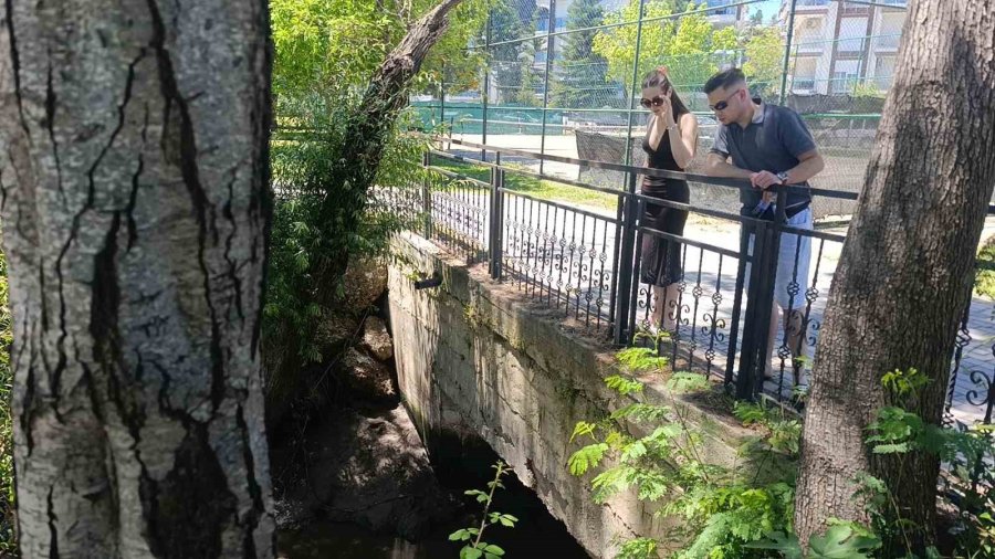 Manavgat Irmağı’nda Kaynağı Belirlenemeyen Görüntü Endişelendiriyor
