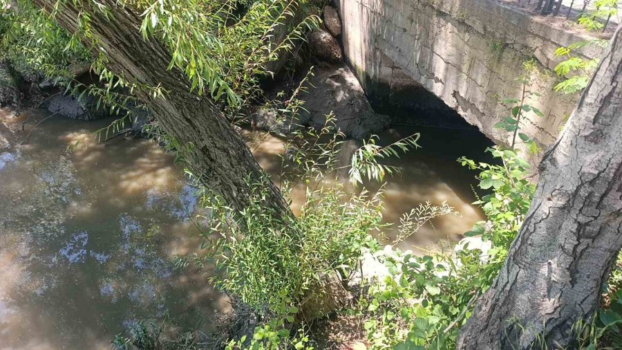 Manavgat Irmağı’nda Kaynağı Belirlenemeyen Görüntü Endişelendiriyor