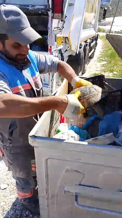 Belediye Çalışanlarından Örnek Davranış: Çöp Konteynerinde Ölüme Terk Edilen Kaplumbağayı Kurtardılar
