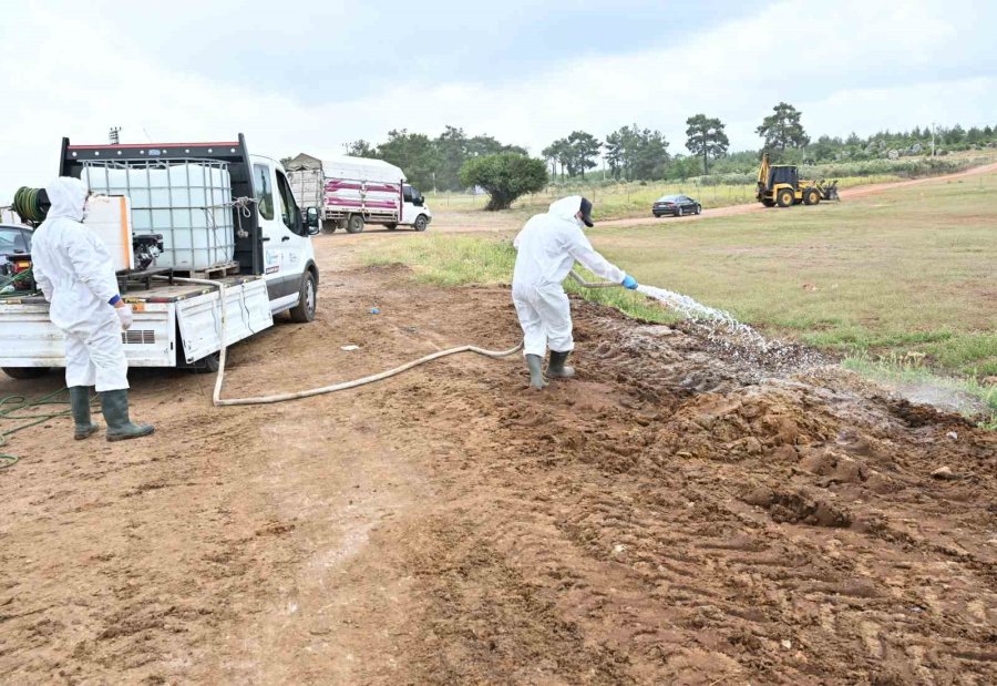 Büyükşehir’den Kurban Satış Alanlarında İlaçlama