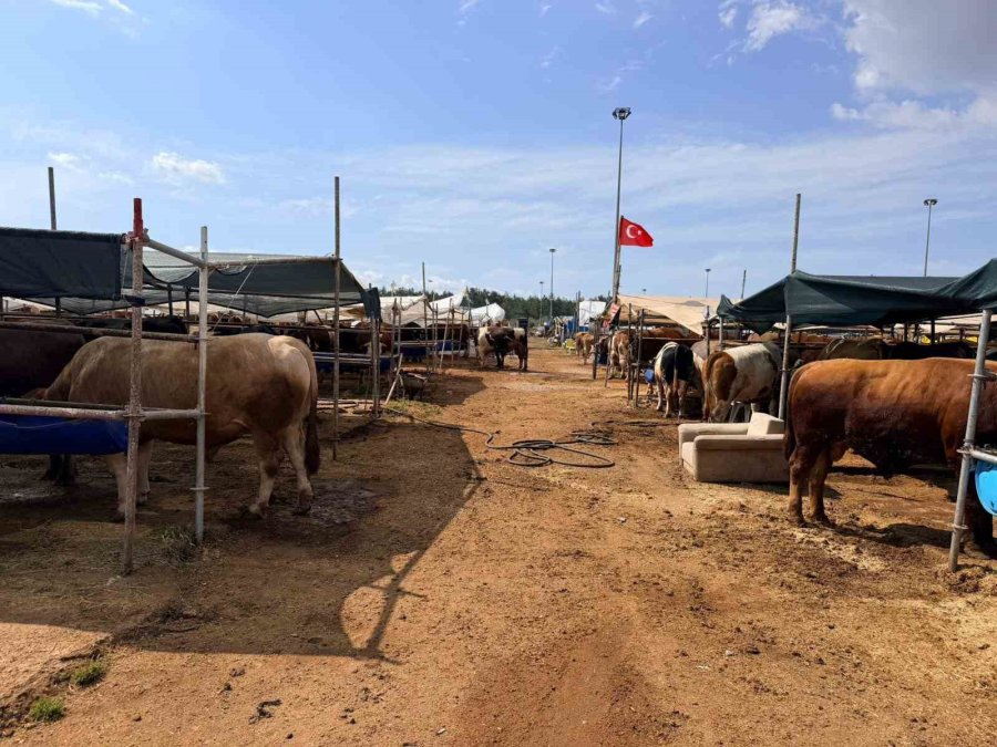 Kepez’in Kurban Pazarları Hizmette