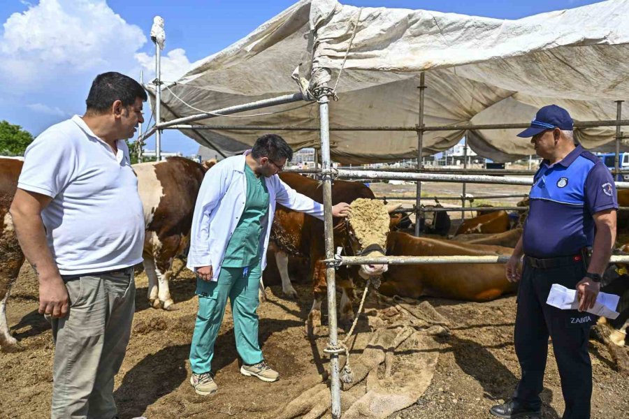 Muratpaşa’da Kurban Bayramı Hazırlıkları Tamamlandı