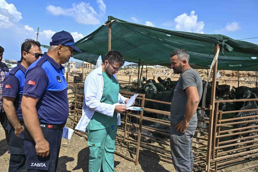 Muratpaşa’da Kurban Bayramı Hazırlıkları Tamamlandı