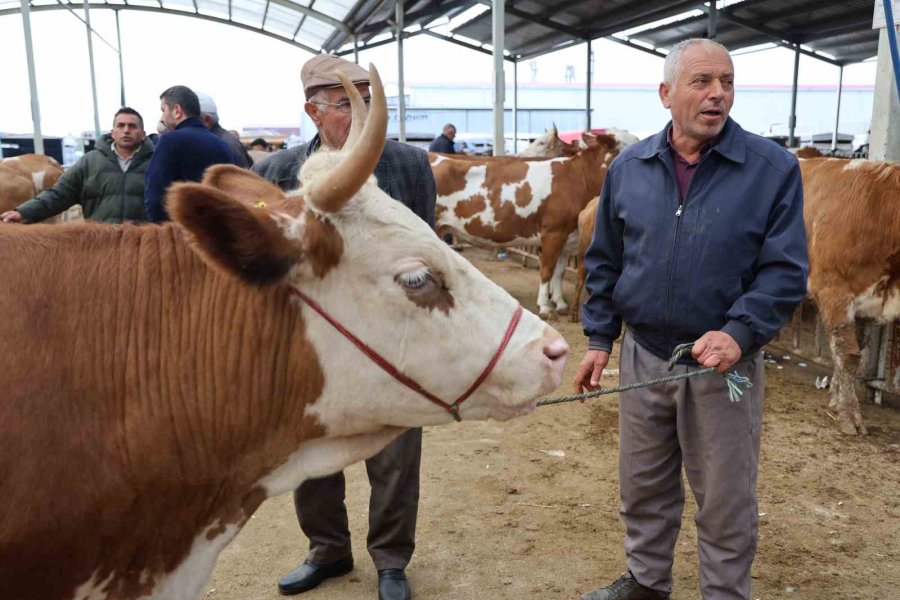 Aksaray’da Hayvan Pazarında Kurban Hareketliliği Yaşanıyor
