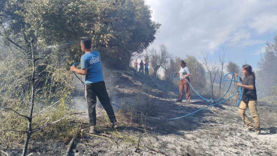 Antalya’da Ormanlık Alanda Yangın