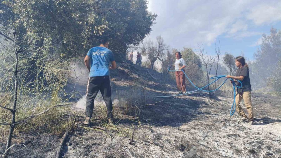 Antalya’da Ormanlık Alanda Yangın
