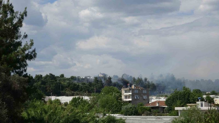Antalya’da Ormanlık Alanda Yangın