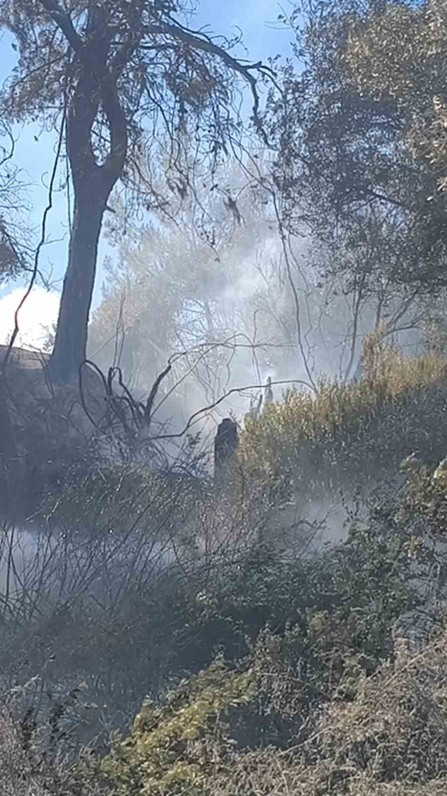 Antalya’da Ormanlık Alanda Yangın