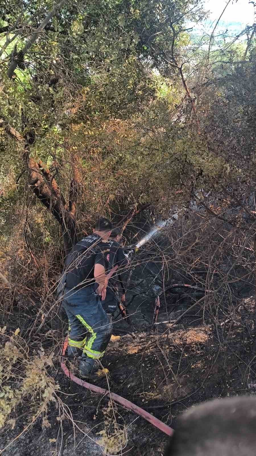 Antalya’da Ormanlık Alanda Yangın