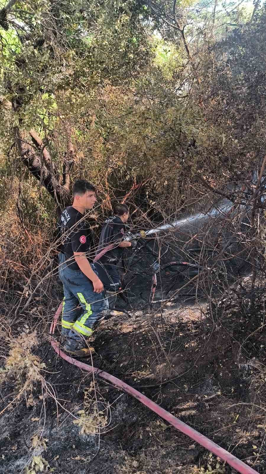 Antalya’da Ormanlık Alanda Yangın